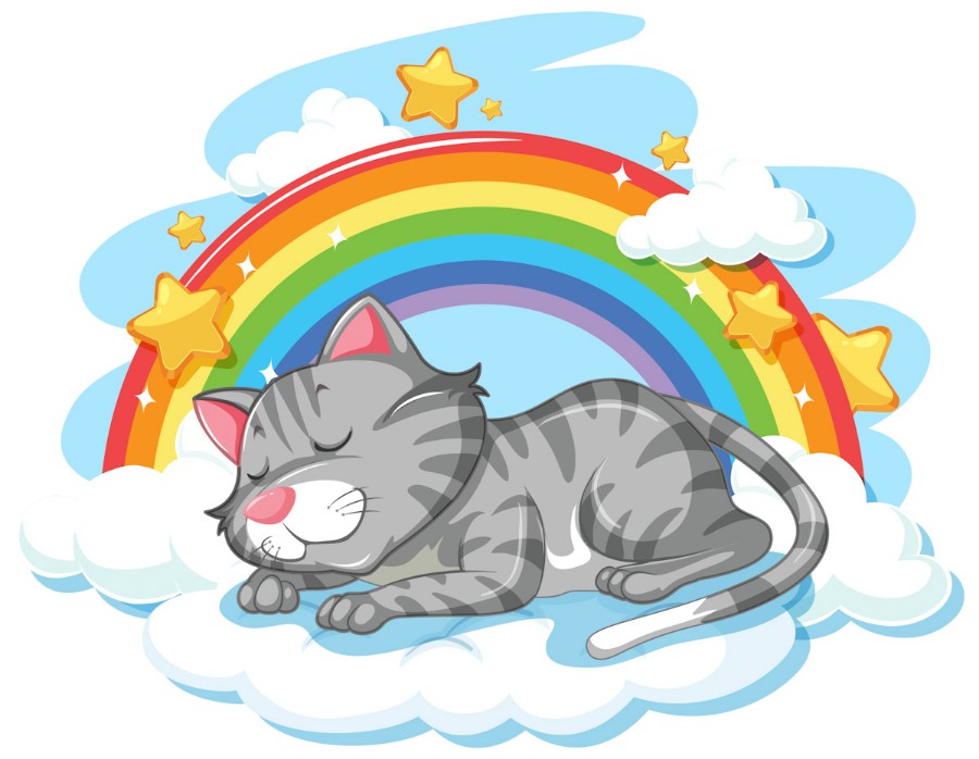 Pisica unicorn de colorat - Pisicoteca Pisica unicorn de colorat